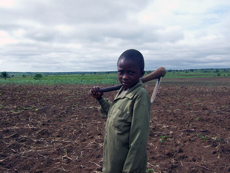 Ausencia de niñez en el Congo